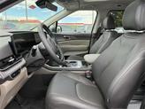 Thumbnail of 2026 Panthera Metal Kia Carnival