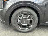 Thumbnail of 2026 Panthera Metal Kia Carnival