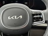 Thumbnail of 2026 Panthera Metal Kia Carnival