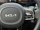 Thumbnail of 2025 Panthera Metal Kia Sorento