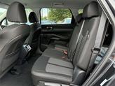 Thumbnail of 2025 Panthera Metal Kia Sorento