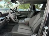 Thumbnail of 2025 Panthera Metal Kia Sorento