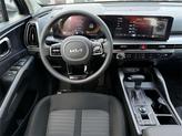 Thumbnail of 2025 Panthera Metal Kia Sorento