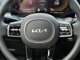 Thumbnail of 2025 Panthera Metal Kia Sorento