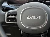 Thumbnail of 2025 Panthera Metal Kia Sorento