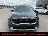Thumbnail of 2025 Panthera Metal Kia Carnival Hybrid