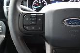 Thumbnail of 2023 Avalanche Gray Ford F-150