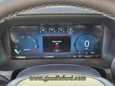 Thumbnail of 2025 Gray Ford F-150