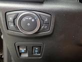 Thumbnail of 2019 Brown Ford F-150