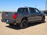 Thumbnail of 2025 Gray Ford F-150