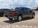 Thumbnail of 2025 Agate Black Metallic Ford F-150