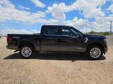 Thumbnail of 2025 Agate Black Metallic Ford F-150