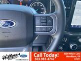 Thumbnail of 2023 Iconic Silver Metallic Ford F-150