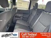 Thumbnail of 2025 Shadow Black Ford Maverick