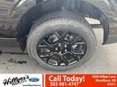 Thumbnail of 2025 Shadow Black Ford Maverick