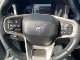 Thumbnail of 2022 Cactus Ford Bronco
