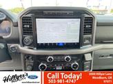 Thumbnail of 2024 Agate Black Metallic Ford F-150