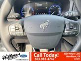 Thumbnail of 2024 White Ford Bronco Sport