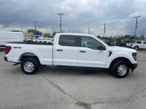 Thumbnail of 2025 Oxford White Ford F-150