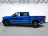 Thumbnail of 2021 VELOCITY BLUE METALLIC Ford F-150
