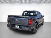 Thumbnail of 2025 Carbonized Gray Metallic Ford F-150
