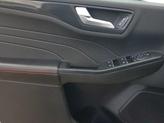 Thumbnail of 2023 Oxford White Ford Escape