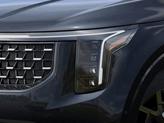 Thumbnail of 2026 Panthera Metal Kia Carnival Hybrid