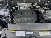 Thumbnail of 2025 Platinum Volkswagen Atlas