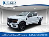 Photo of 2025 Oxford White Ford F-150