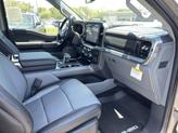 Thumbnail of 2025 Gray Ford F-150