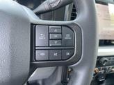 Thumbnail of 2025 Agate Black Metallic Ford F-250