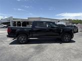 Thumbnail of 2025 Agate Black Metallic Ford F-150