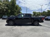Thumbnail of 2025 Agate Black Metallic Ford F-150