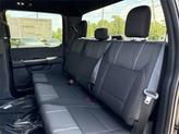 Thumbnail of 2025 Agate Black Metallic Ford F-150