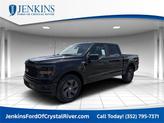 Photo of 2025 Agate Black Metallic Ford F-150