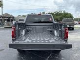 Thumbnail of 2025 Carbonized Gray Metallic Ford F-150