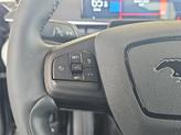 Thumbnail of 2023 Carbonized Gray Metallic Ford Mustang Mach-E