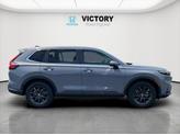 Thumbnail of 2026 Gray Honda CR-V