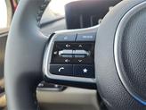 Thumbnail of 2026 Flare Red Kia Carnival