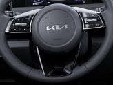 Thumbnail of 2025 Gravity Gray Kia Seltos