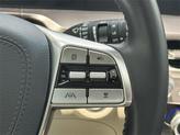 Thumbnail of 2024 Ebony Black Kia Telluride