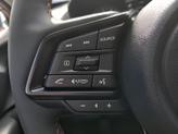 Thumbnail of 2025 Lithium Red Pearl Subaru Crosstrek