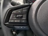Thumbnail of 2025 Crystal Black Silica Subaru Crosstrek