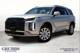 Photo of 2025 Typhoon Silver Hyundai PALISADE