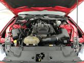 Thumbnail of 2018 Red Ford Mustang