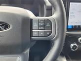 Thumbnail of 2024 Avalanche Gray Ford F-150