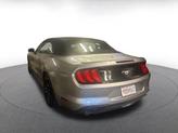Thumbnail of 2023 Iconic Silver Metallic Ford Mustang
