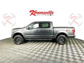 Thumbnail of 2017 Magnetic Ford F-150