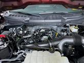 Thumbnail of 2024 Red Metallic Ford F-150