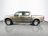 Thumbnail of 2016 Caribou Metallic Ford F-150